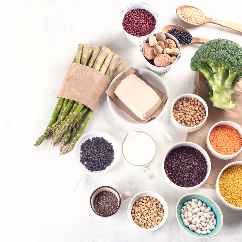 Vegan Protein: An Essential Component of a Healthy Lifestyle